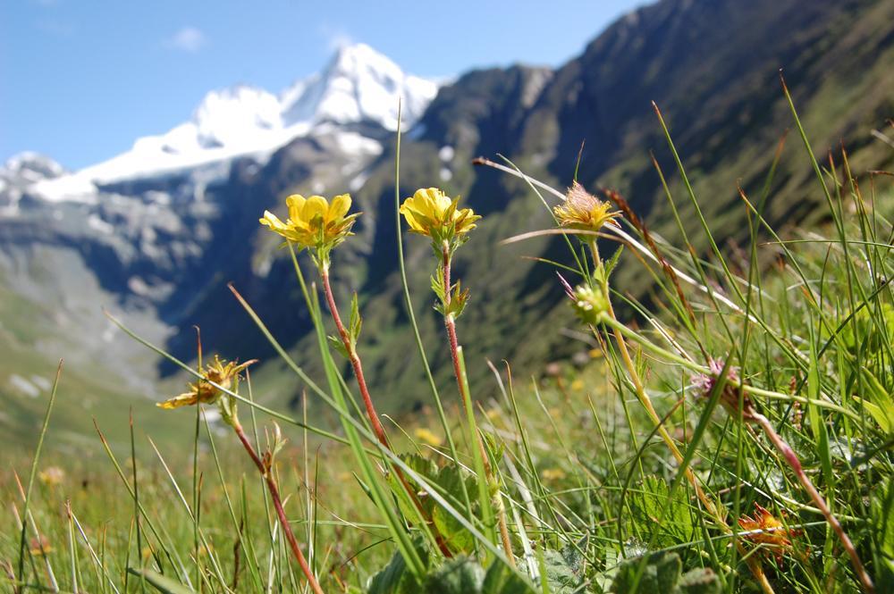 Ferienhaus Islitzer Hollersbach im Pinzgau Zewnętrze zdjęcie